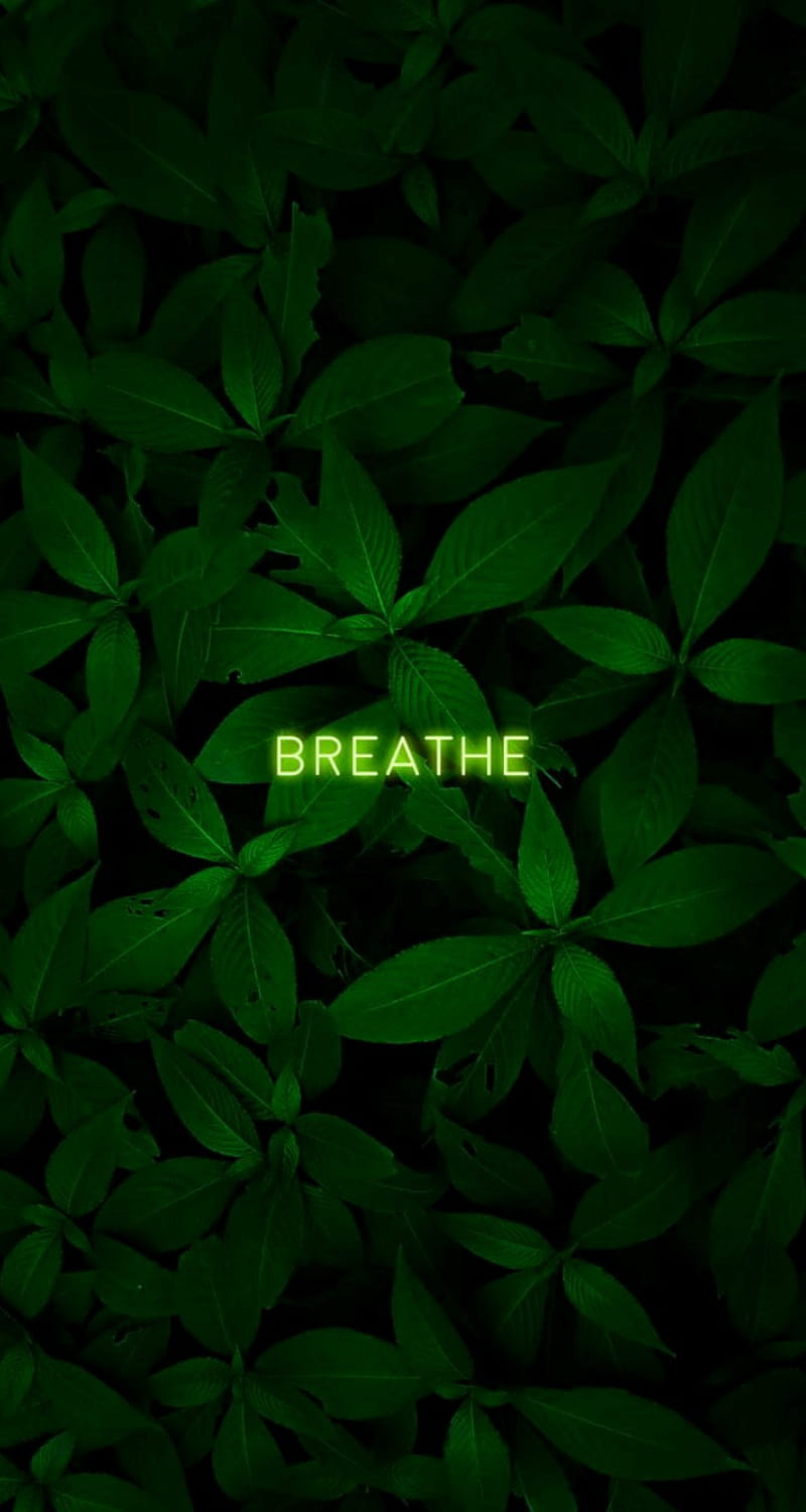 Breathe, green, smoothing, HD phone wallpaper