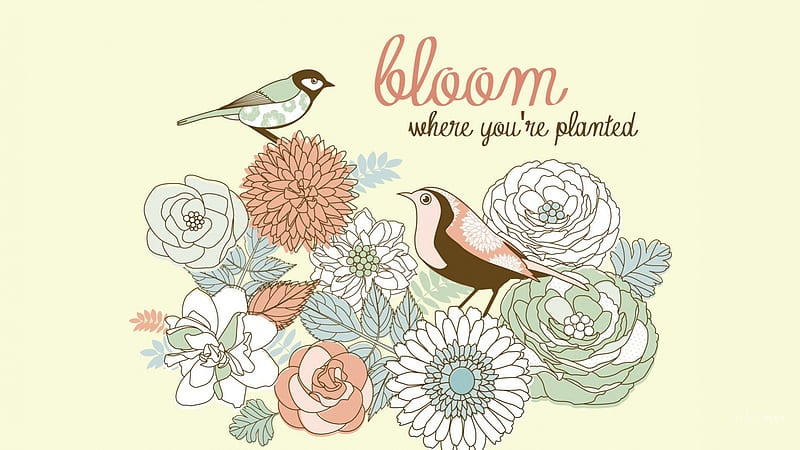 Bloom Where You're Planted, pale, fragrant, birds, spring, bouquet, summer,  flowers, HD wallpaper | Peakpx