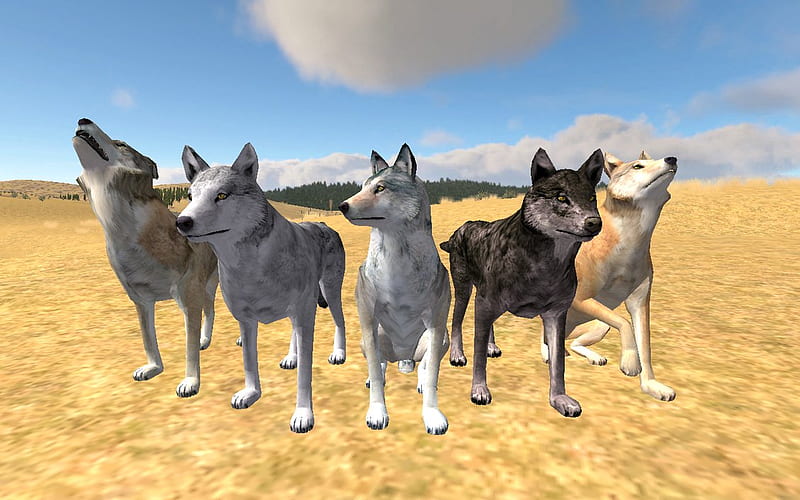 Multiplayer, games, nature, wolfquest, wolves, animals, HD wallpaper