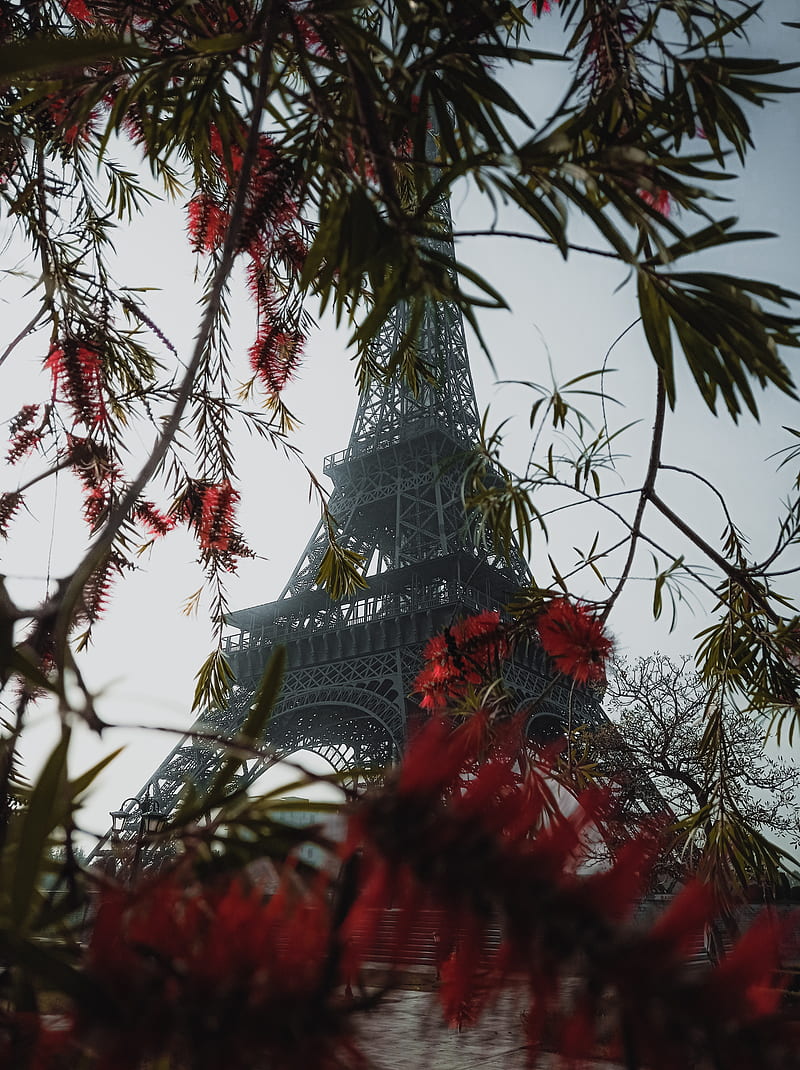 Eifel tower replica, eifel tower, flowers, paris, HD phone wallpaper