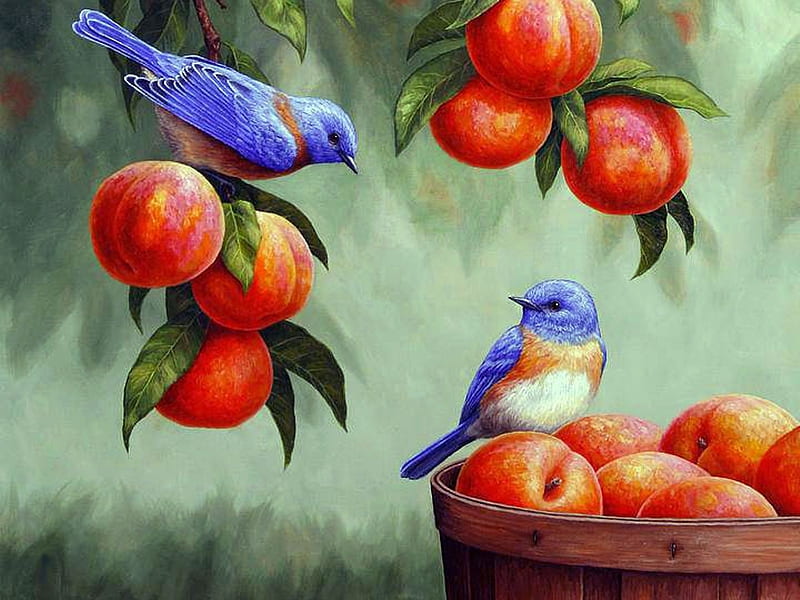 Bluebirds, basket, fruits, peaches, painting, birds, artwork, HD wallpaper