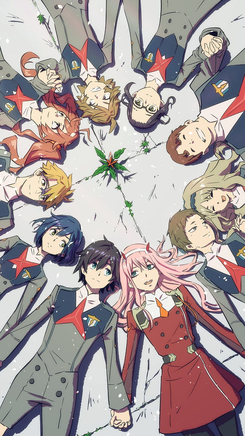 Darling In The FranXX Characters With White Background HD Anime Wallpapers, HD Wallpapers