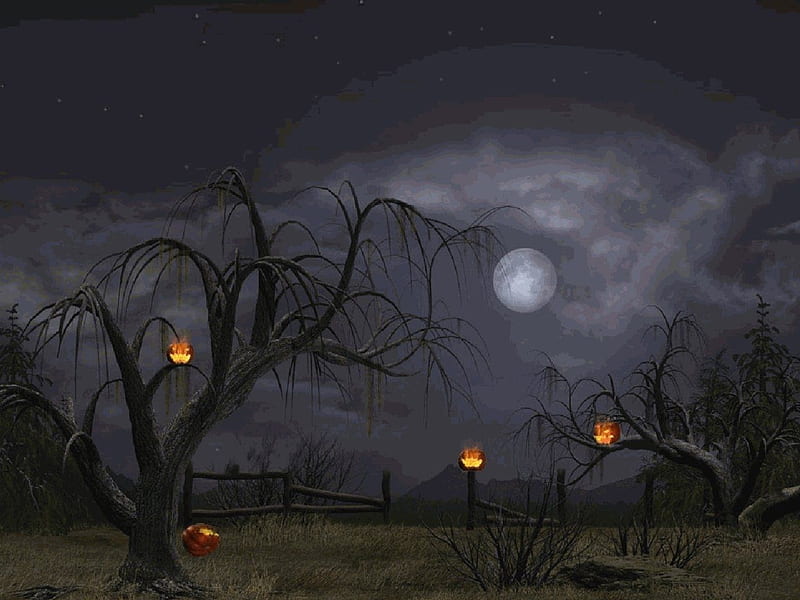 HALLOWEEN NIGHT, stars, moon, trees, sky, pumpkins, night, HD wallpaper ...
