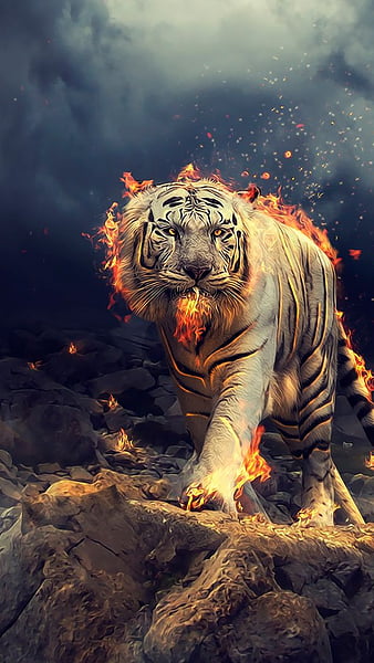 500+ Free Tiger Head & Tiger Images - Pixabay