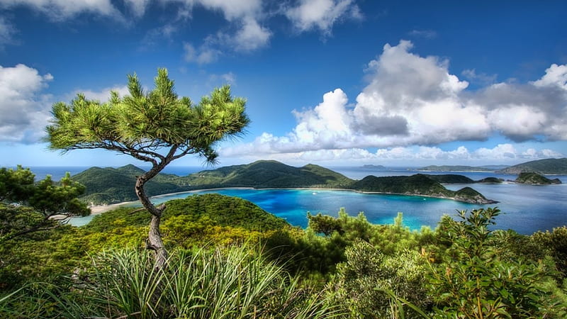 Okinawa Japan, mountain, hills, okinawa, japan, ocean, nature, trees, clouds, HD wallpaper