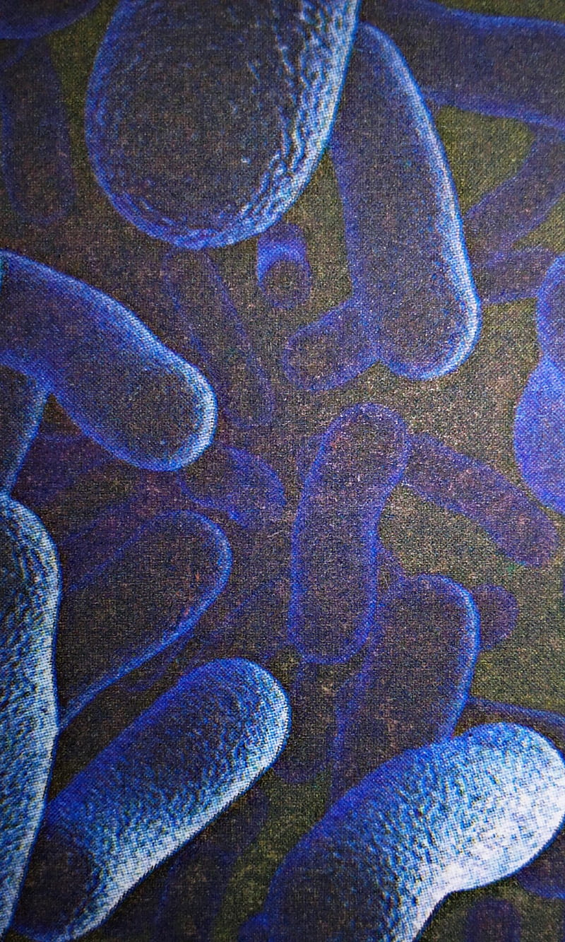 Bacteria, blue, HD phone wallpaper