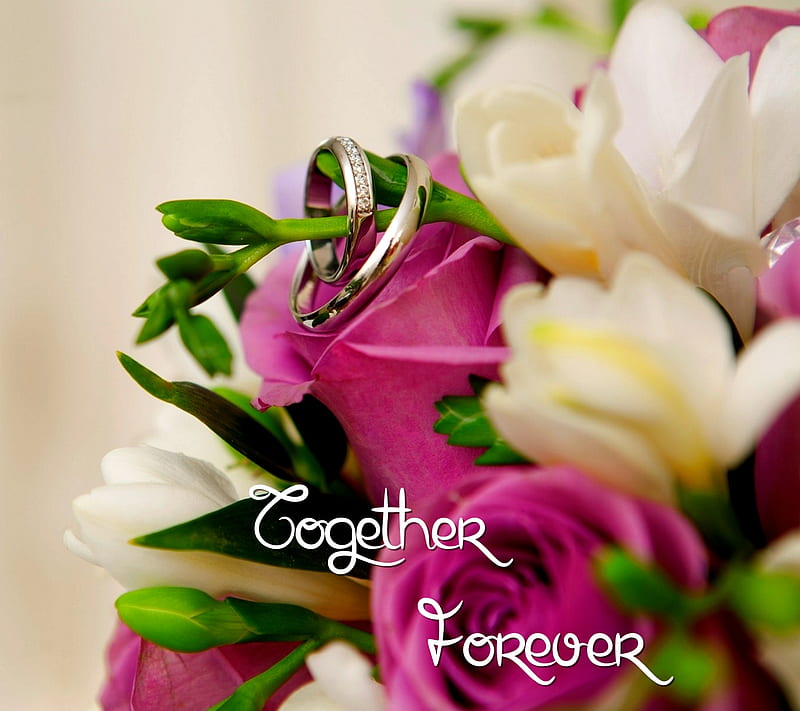 Together Forever, siempre, together, HD wallpaper | Peakpx
