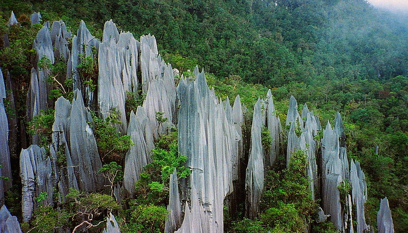 Limestone pinnacles, Mount Api, Gunung Mulu National Park, Sarawak, Mulu, Malaysia, Pinnacles, Borneo, Sarawak, HD wallpaper