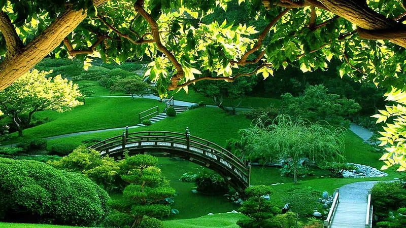 Beautiful Green Scenery Garden Beautiful, HD wallpaper