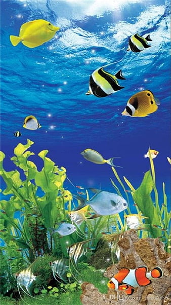 Ultra HD Aquarium Wallpapers  Top Free Ultra HD Aquarium Backgrounds   WallpaperAccess