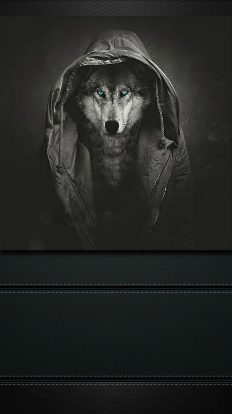 Night Stalker, dark, hoodie, leatherbacking, nightstalker, wolf, HD phone wallpaper