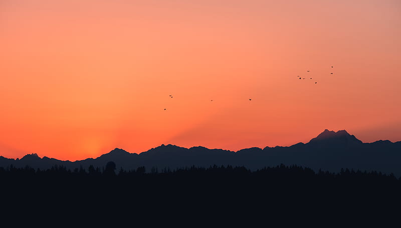 mountains, sunset, outlines, birds, HD wallpaper