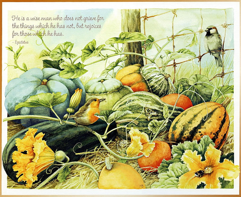 art, autumn, pasare, yellow, card, bird, pumpkin, painting, marjolein bastin, HD wallpaper
