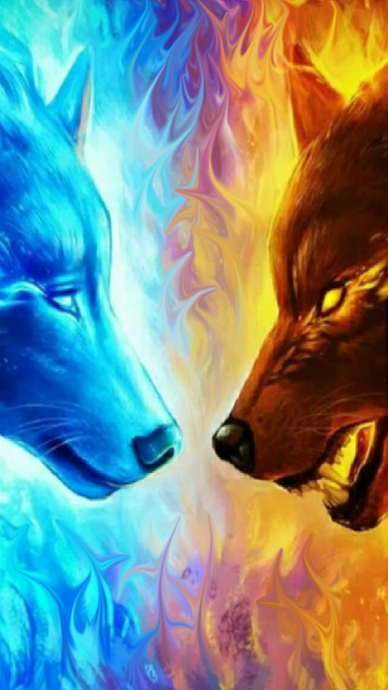 Face to Face, different, fight, flames, leader, two, wolves, HD phone wallpaper