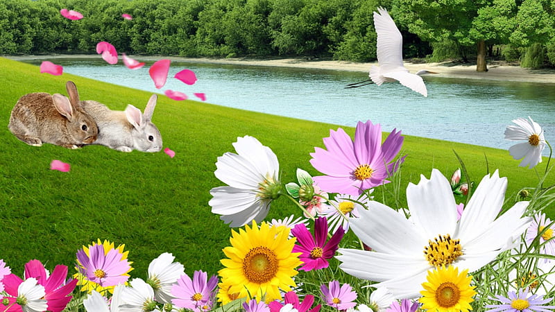 Petals in the Wind, flowers, grass, breeze, beach, rabbits, river, wild flowers, wind, spring, trees, pool, lake, pond, bird, summer, bunny, lawn, bunnies, HD wallpaper