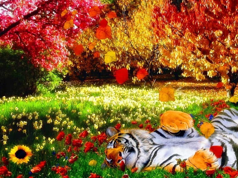 Tiger's Garden, autumn, stripes, grass, trees, leaves, flowers, garden, hop, tifer, HD wallpaper