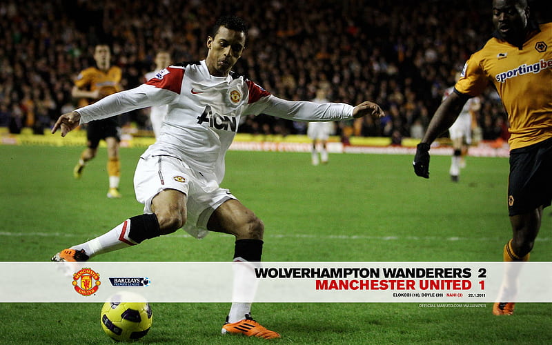 Wolves 2 United 1, HD wallpaper