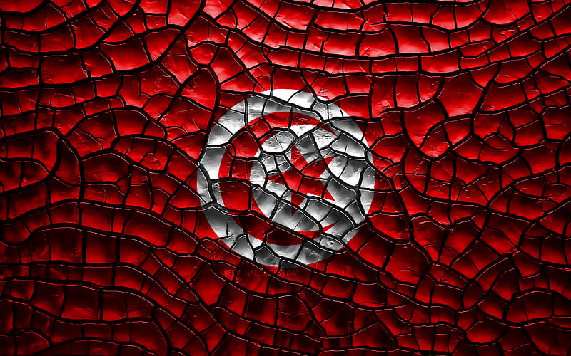 Flag of Tunisia cracked soil, Africa, Tunisian flag, 3D art, Tunisia, African countries, national symbols, Tunisia 3D flag, HD wallpaper