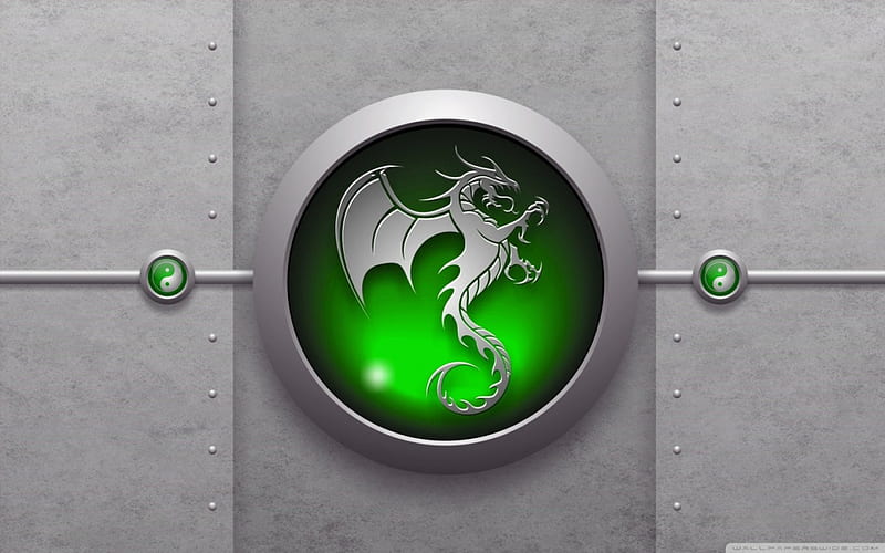 dragon g, black and white, green abstract, dragons, animals, HD wallpaper