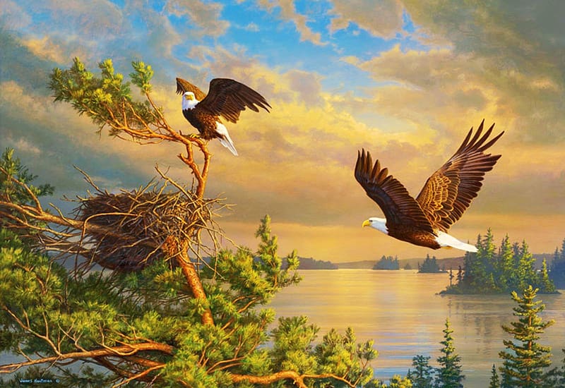 Back to the Nest, eagles, lake, tree, artwork, painting, nature, HD wallpaper