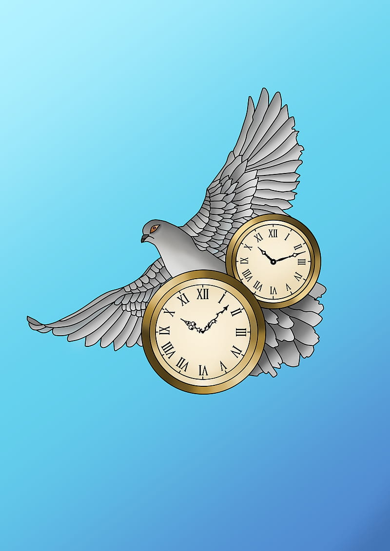 Dove, bird, blue, clock, draw, pigeon, time, HD phone wallpaper