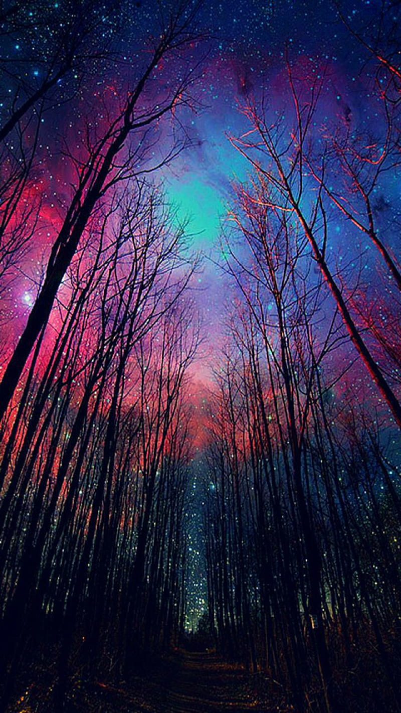 Galaxy Forest, tree, sky, bright, stars, HD phone wallpaper | Peakpx