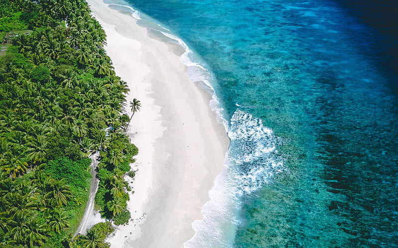 tropical island, view from above, aerial view, ocean, beach, palm trees, sea, HD wallpaper