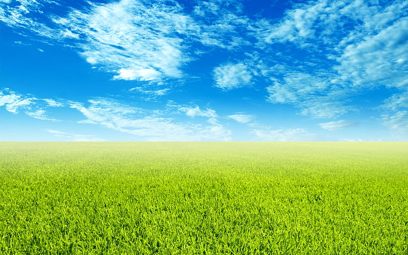Cielo azul césped fresco y agradable paisaje, Fondo de pantalla HD | Peakpx