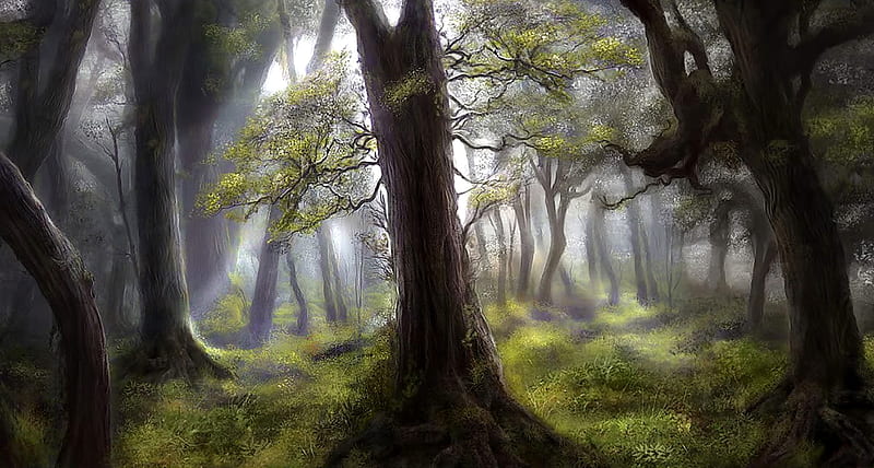 Fairy forest, forest, bonito, magic, elven, fog, tree, nice, dark, fairy, HD wallpaper