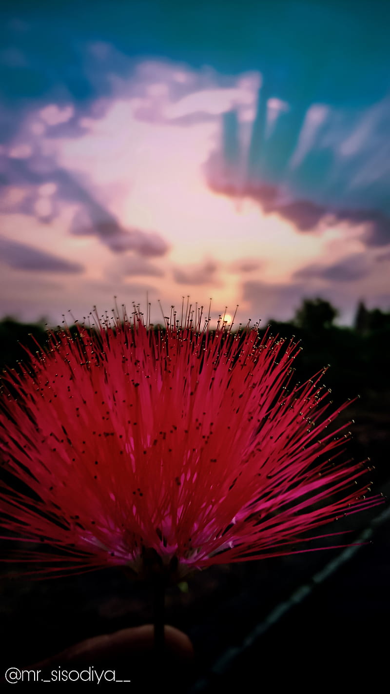 Sunshine, colors, colour, cool, fireworks, flower, galaxy, rainbow, sun ...