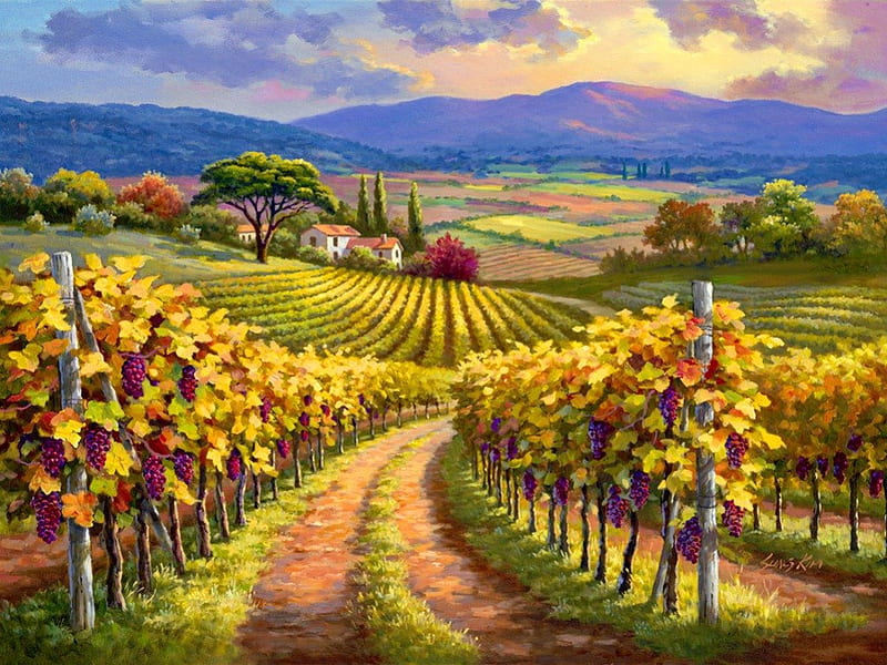 Vineyard hill, pretty, autumn, house, cottage, bonito, mountain, nice, painting, path, village, rows, art, hills, quiet, lovely, wine, vineyard, sky, grape, peaceful, summer, nature, HD wallpaper