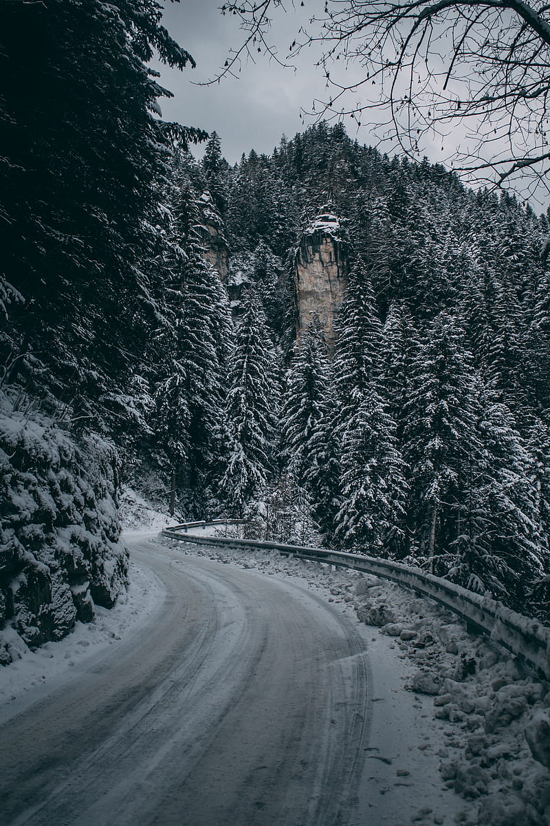 winter, road, turn, snow, branches, mountain, HD phone wallpaper