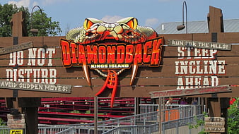 Arizona Diamondback wallpaper by Iontravler - Download on ZEDGE™