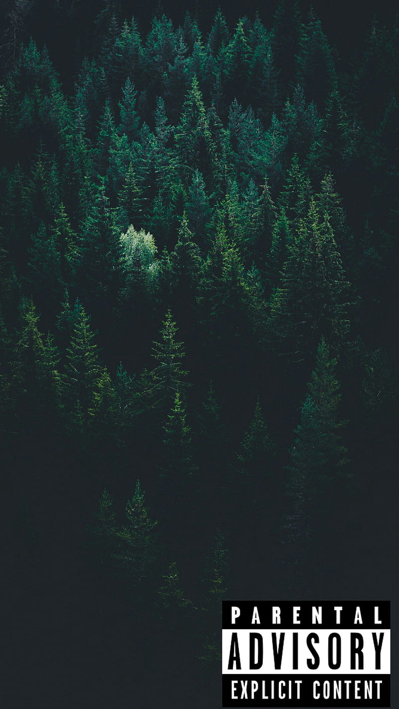 forest, music, naturaleza, HD phone wallpaper
