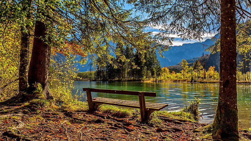 Bench at the riverside, riverside, relax, bench, river, rest, fall, autumn, bonito, autumn foliage, leaves, serenity, HD wallpaper