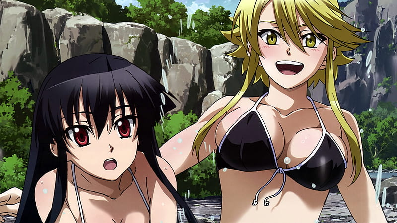 Anime, Smile, Blonde, Yellow Eyes, Blush, Red Eyes, Black Hair, Long Hair, Bikini, Akame (Akame Ga Kill!), Leone (Akame Ga Kill!), Akame Ga Kill!, HD wallpaper