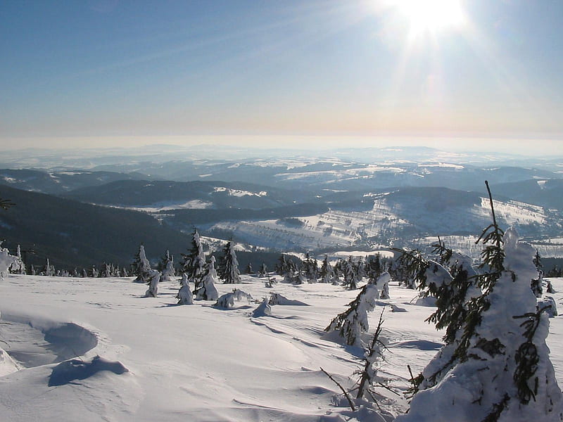 Giant Mountains, Czech, sun, snow, sky trees, winter, cold, HD wallpaper