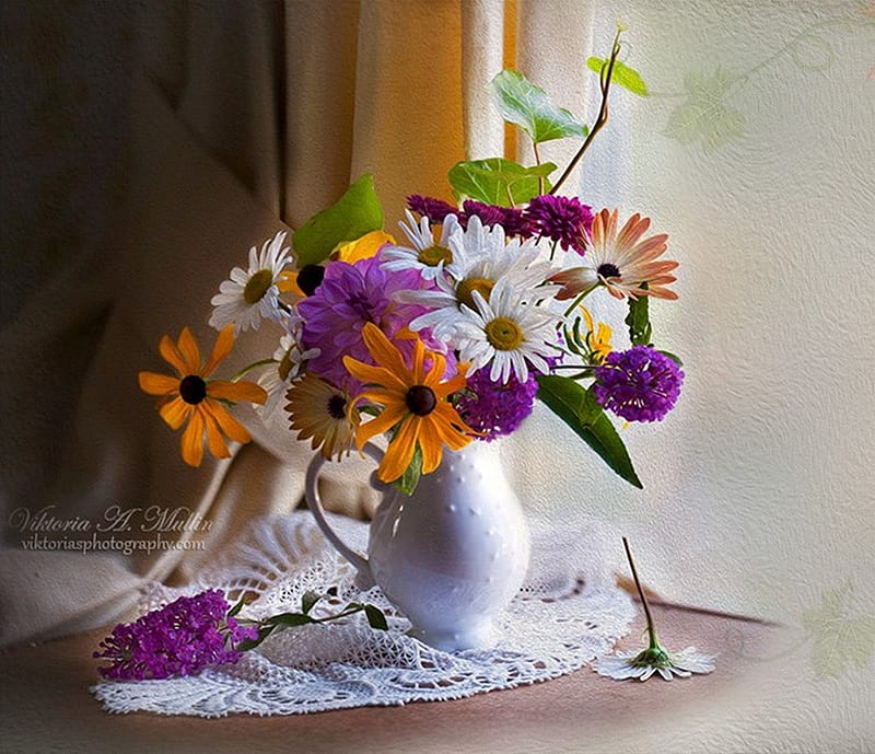 Still life, artist, orange, grapher, vase, bonito, graphy, flowers ...