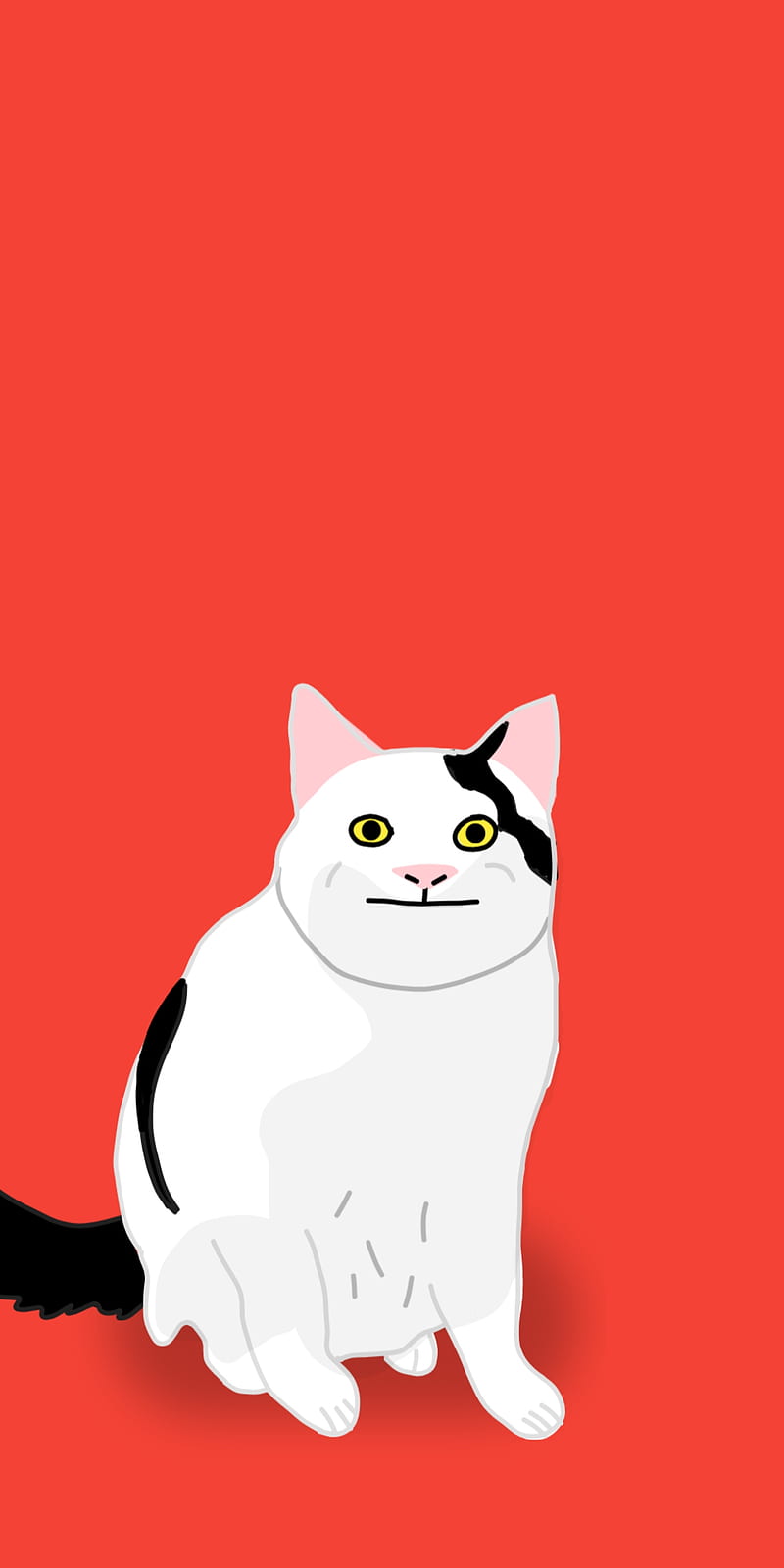 Gato Meme, cute, hello, sing, snowman, unicorn, HD phone wallpaper | Peakpx