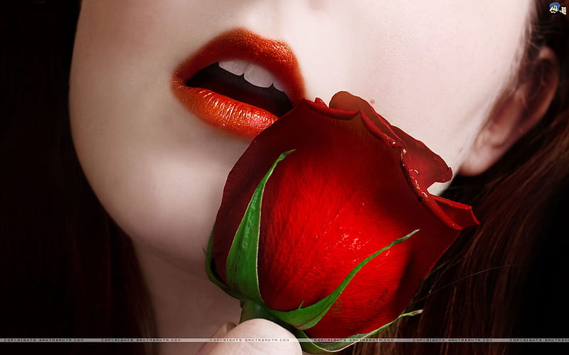 Feel it!, red, rose, lips, girl, HD wallpaper | Peakpx