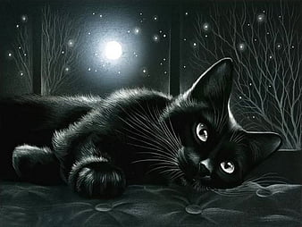 HD moonlight cat wallpapers