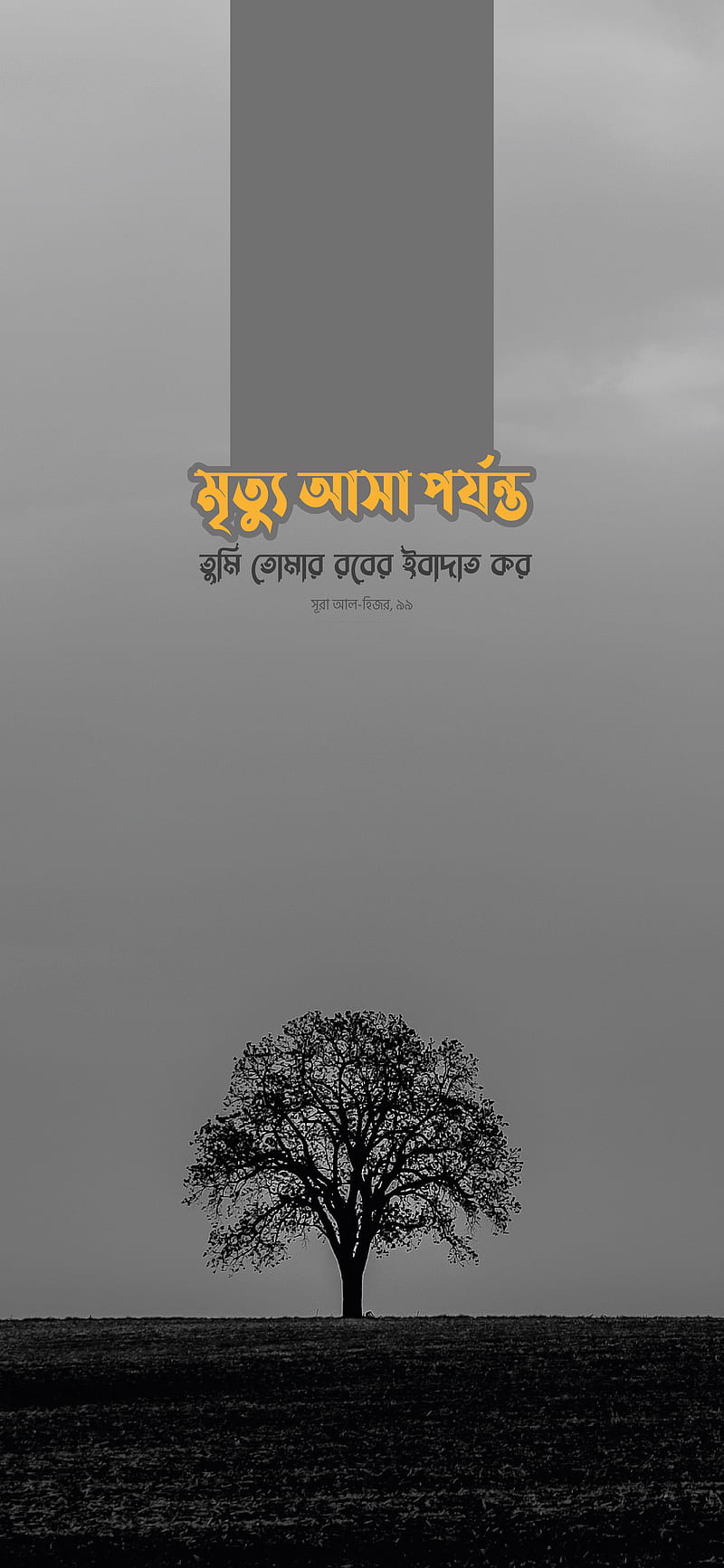 Islamic Status Bangla  