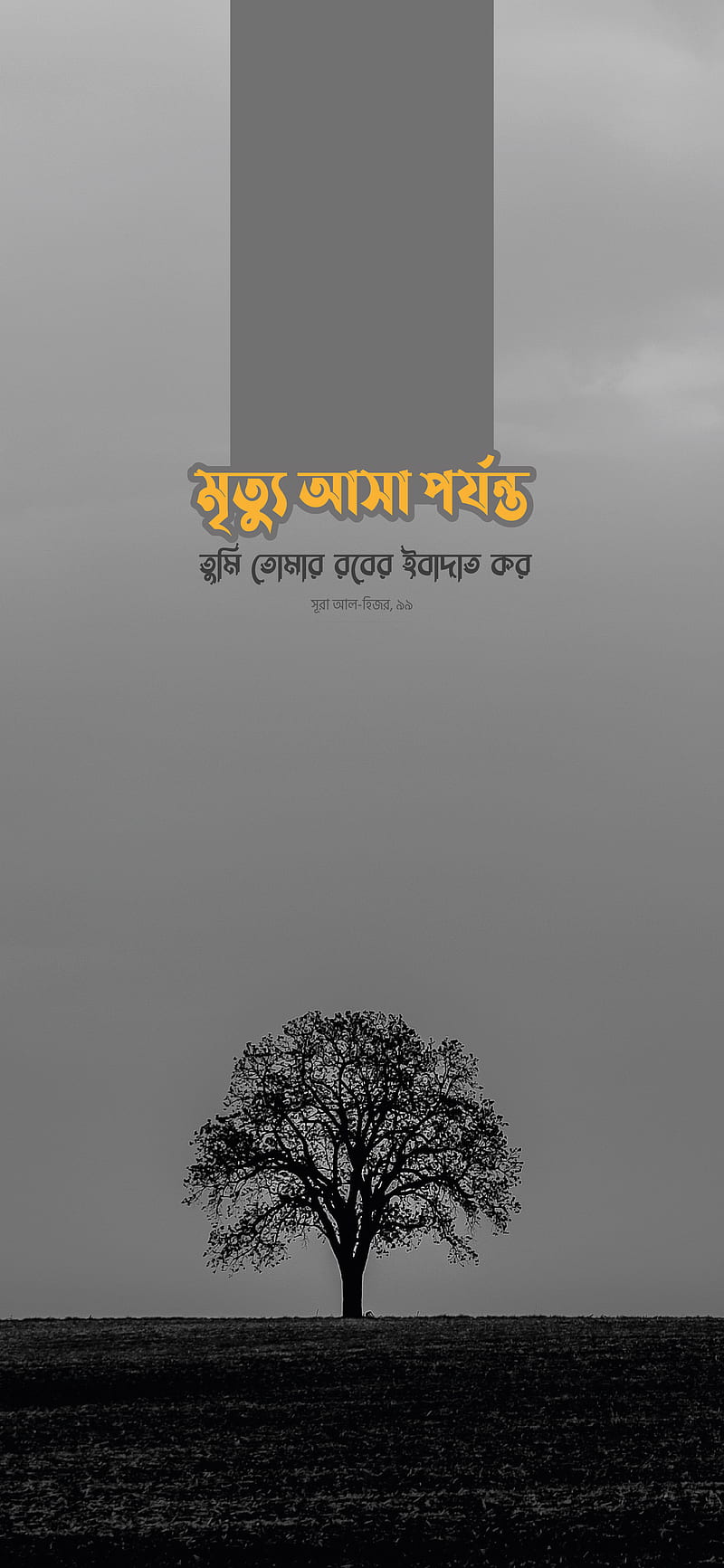 Bangla Islamic, Alhamdulillah, Bangla Ayat, Bangla Saying,, 57% OFF