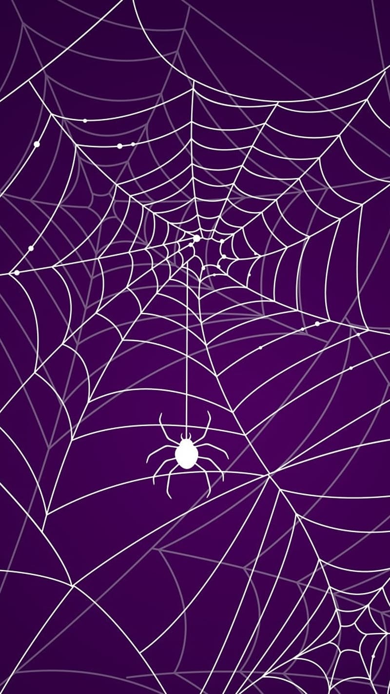 Aesthetic Purple Spider Web, aesthetic purple, spider web, insect, arthropod, HD phone wallpaper