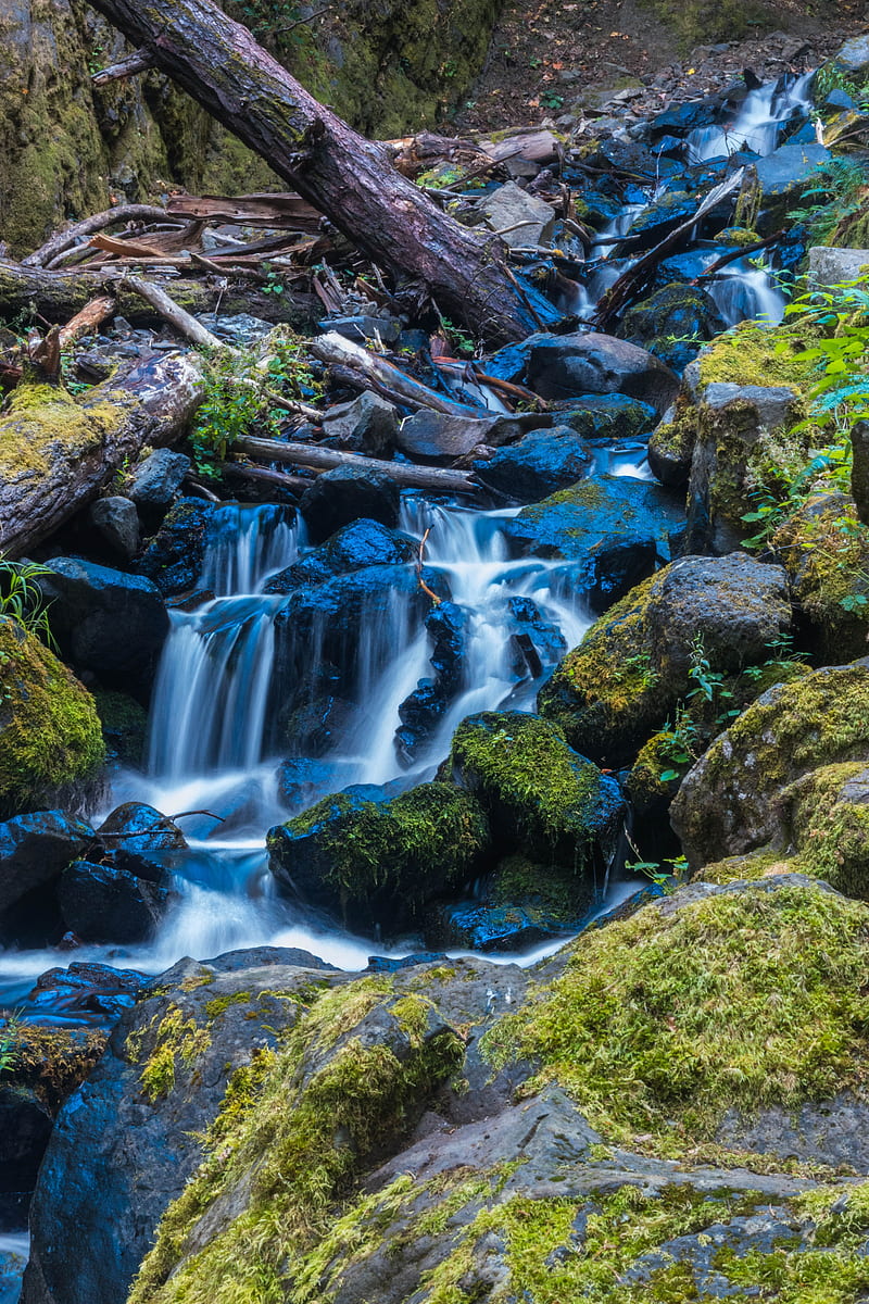 waterfall, stones, stream, moss, log, HD phone wallpaper