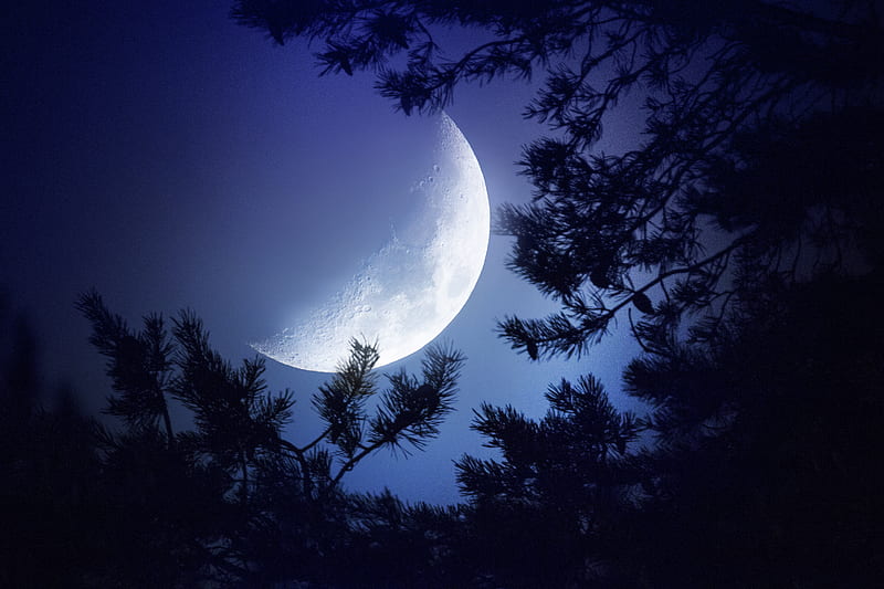 Big Moon Dark Night, moon, night, nature, HD wallpaper | Peakpx
