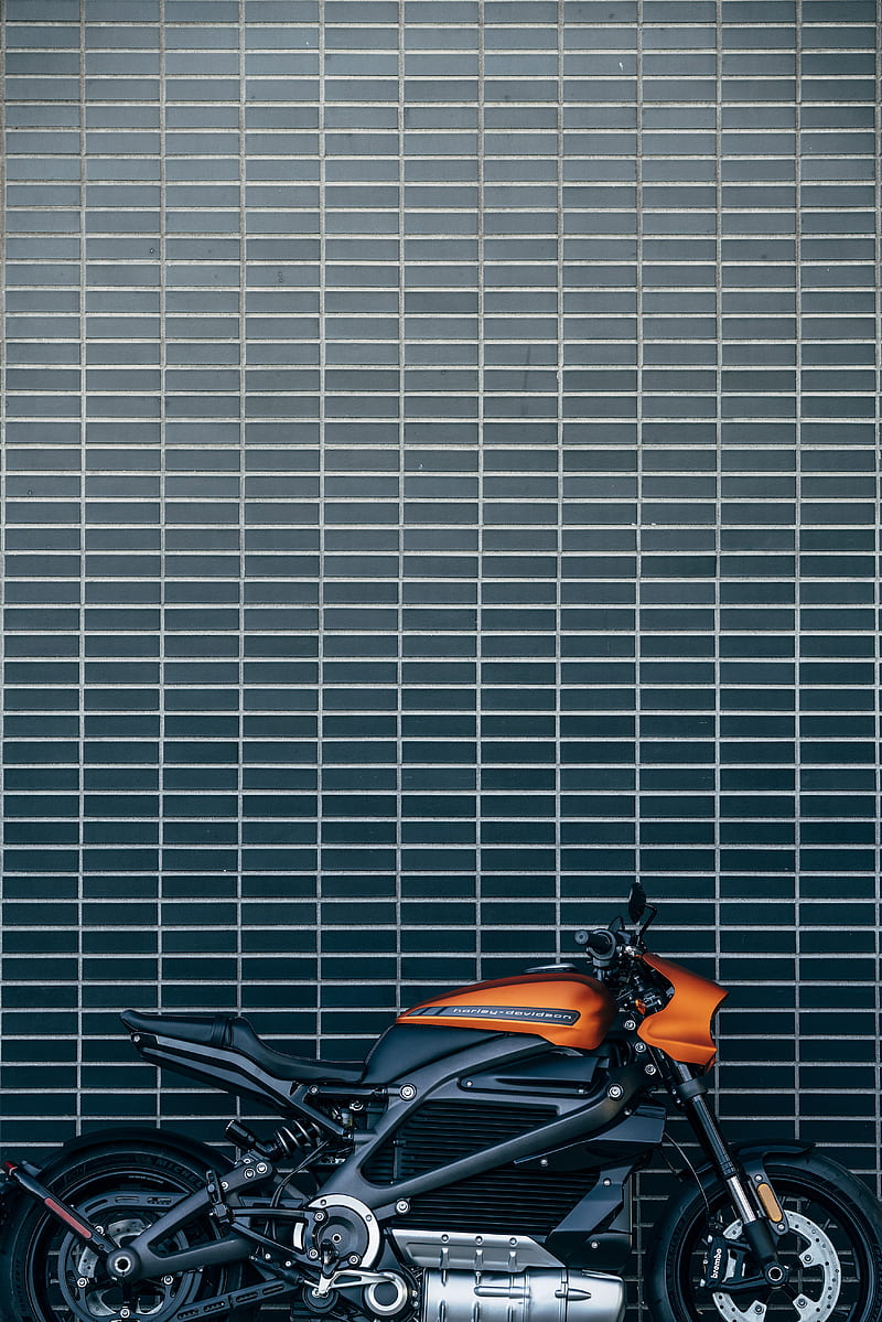 harley-davidson livewire, harley-davidson, motorcycle, bike, electric bike, side view, HD phone wallpaper