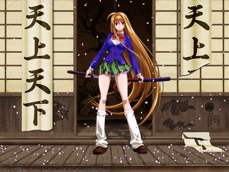 Fatel Beauty, fate, bonito, tenjho tenge, natsume aya, sword, cherry blossom, HD wallpaper