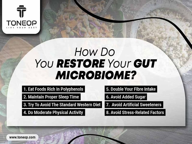 How Do You Restore Your Gut Microbiome, gut, fitness, health, guthealth, HD wallpaper