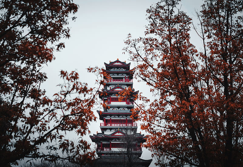 pagoda, building, temple, architecture, trees, HD wallpaper